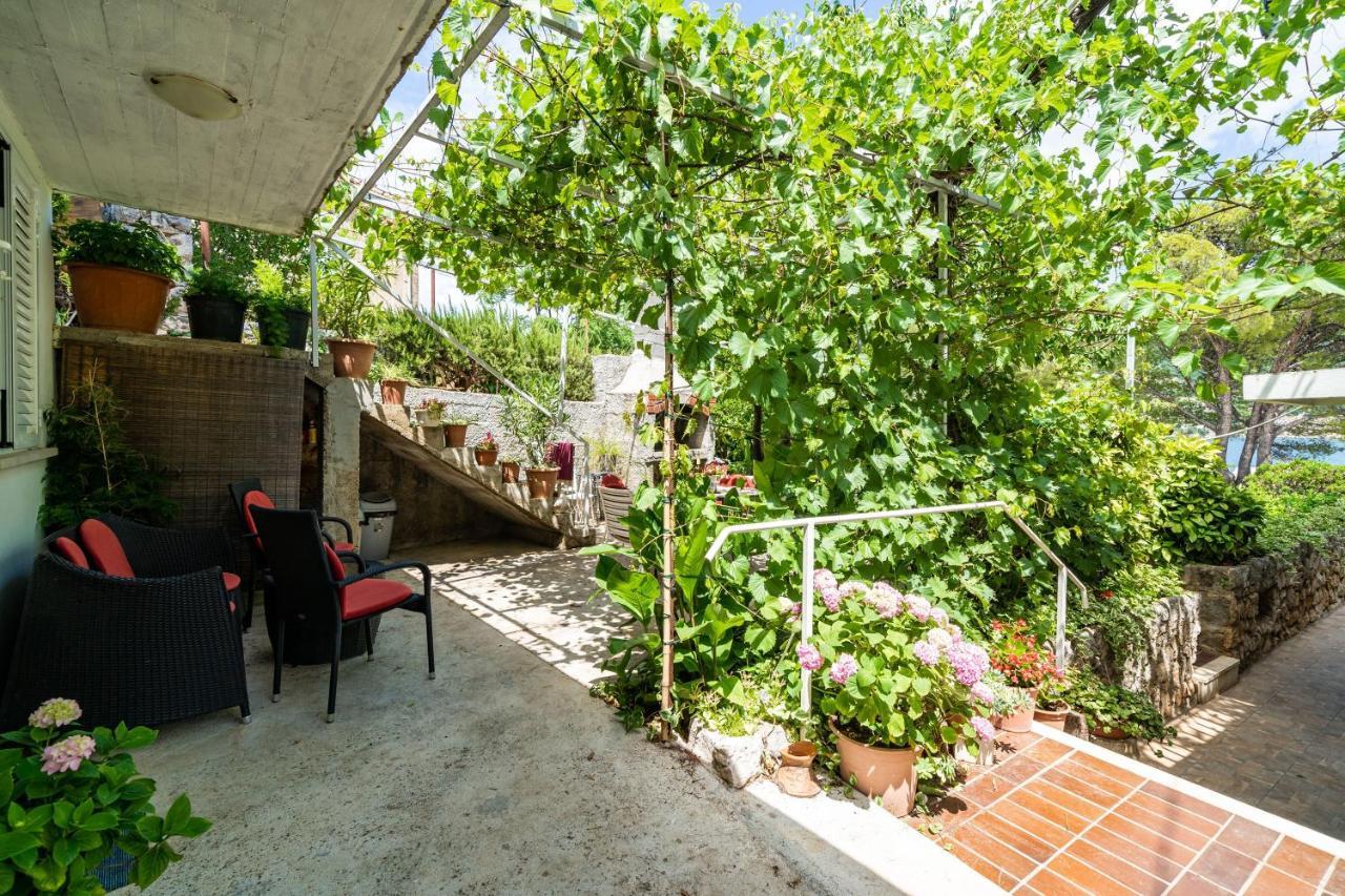 Apartments Zarac 杜布罗夫尼克 外观 照片
