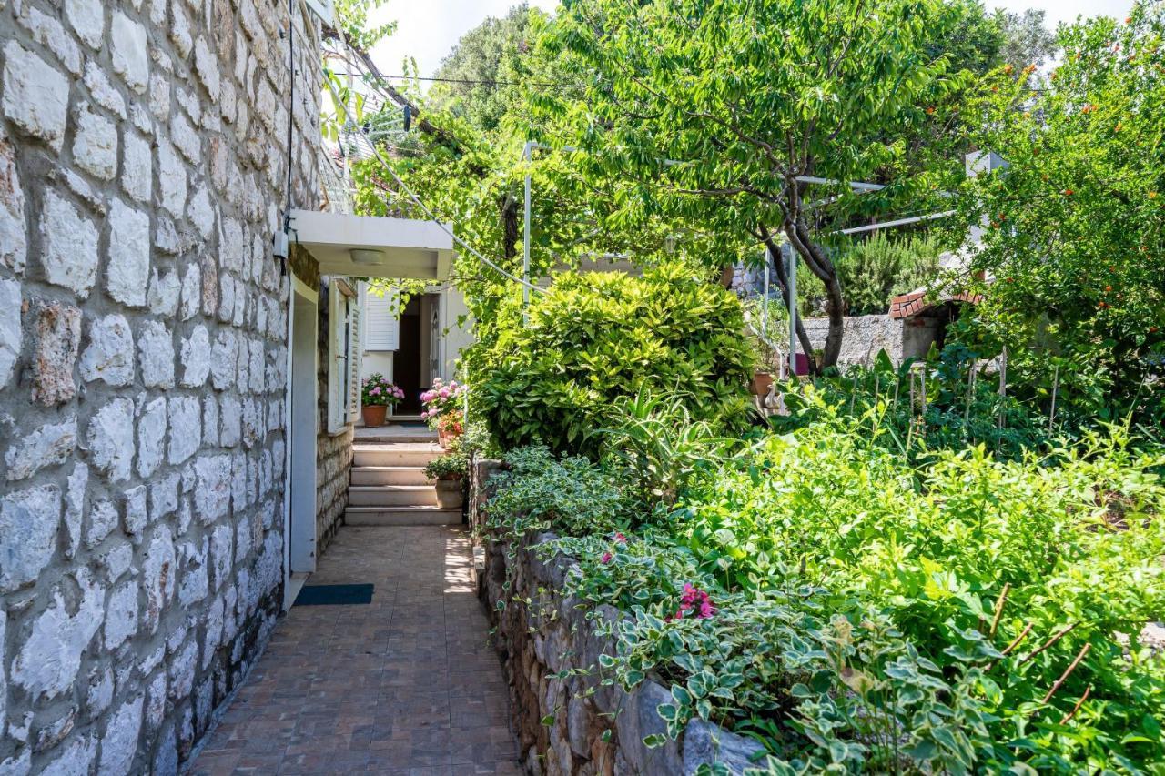 Apartments Zarac 杜布罗夫尼克 外观 照片