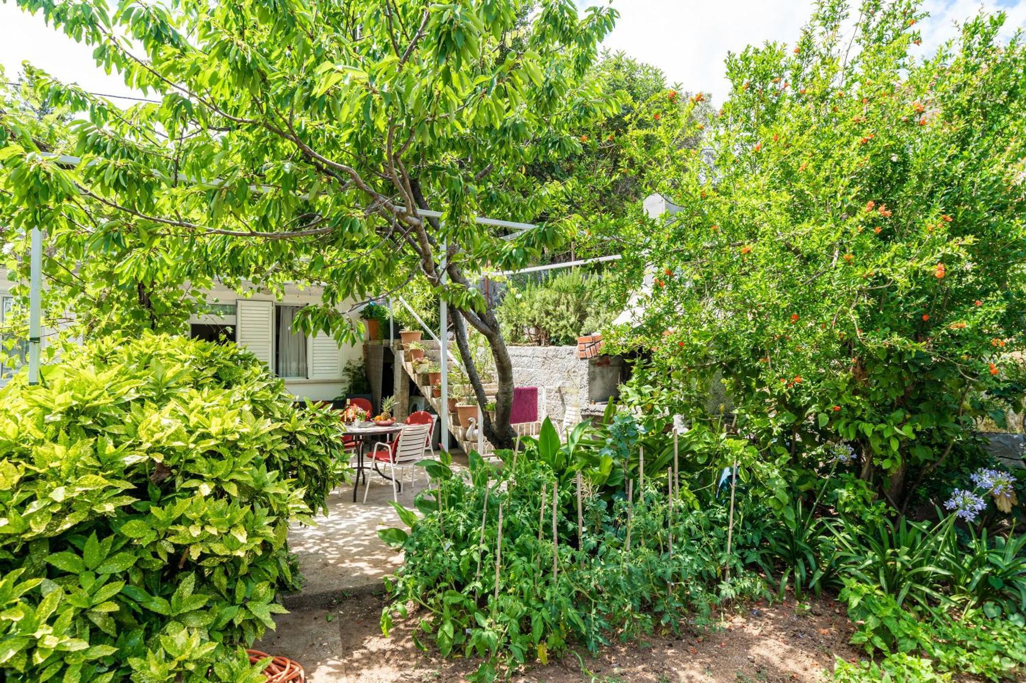 Apartments Zarac 杜布罗夫尼克 客房 照片